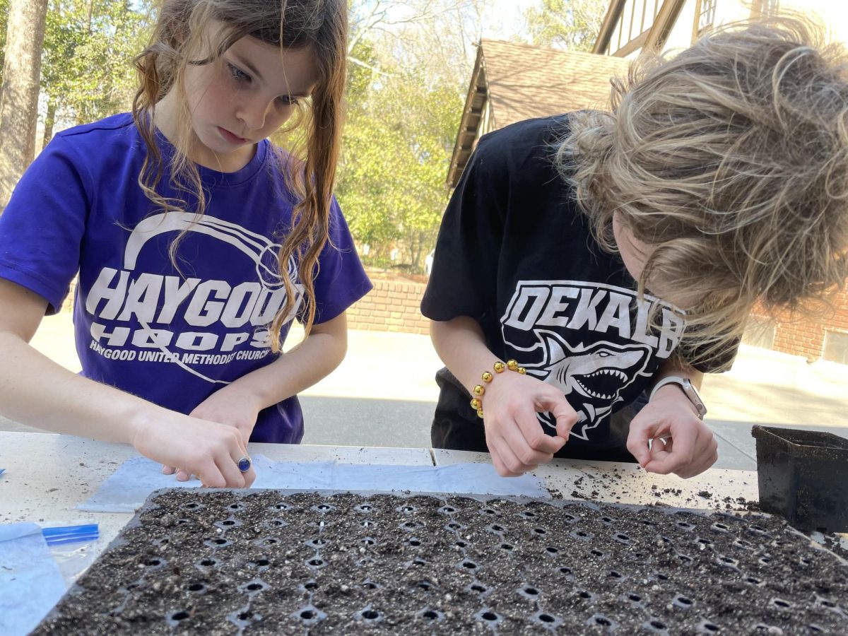 Elementary students sow seeds to be grown in the Pi Farm Greenhouse.
